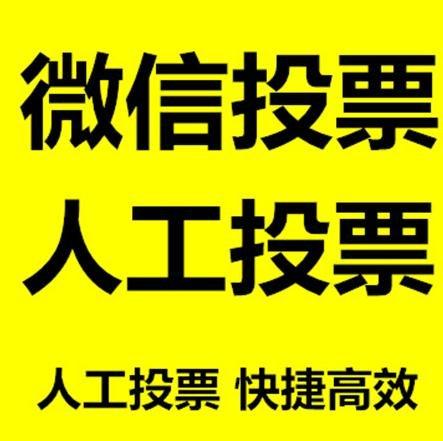 固原市小程序人工投票是真的还是假的？